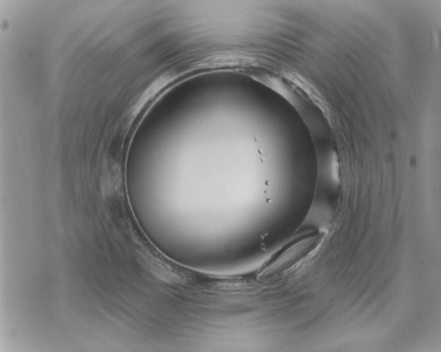 X0000070361465200606161239