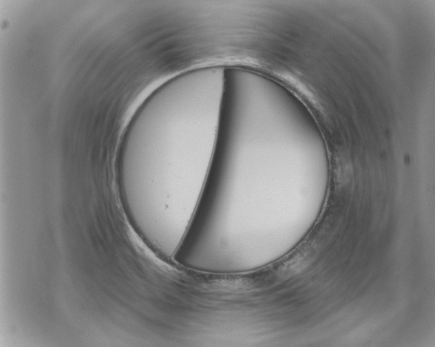 X0000070361468200606161239