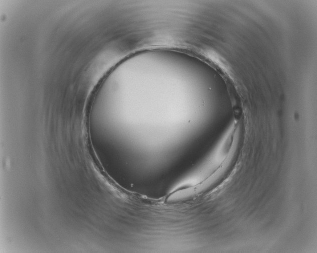 X0000070361469200606161239