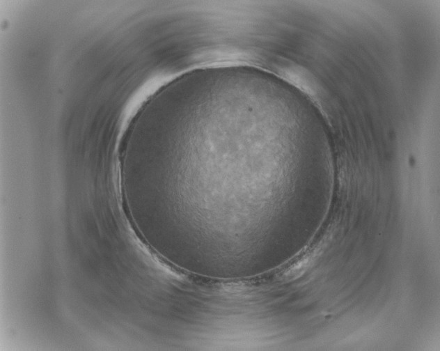 X0000070361472200606161239