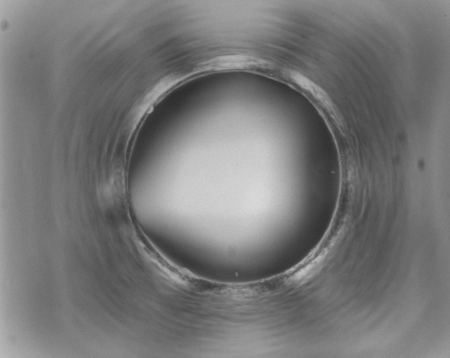 X0000070361473200606161239