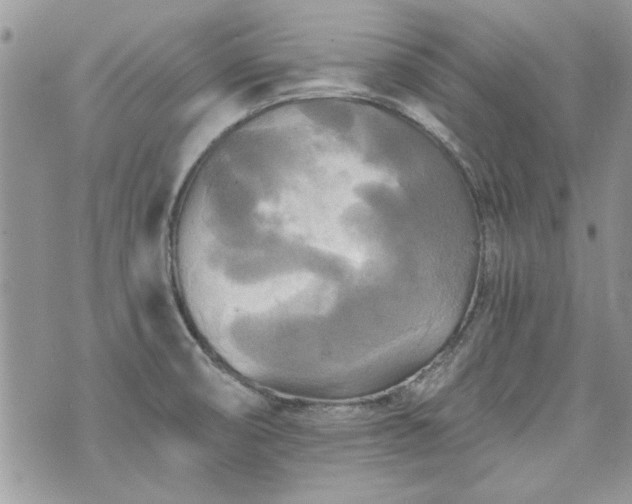 X0000070361474200606161239