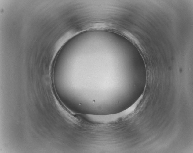 X0000070361475200606161239