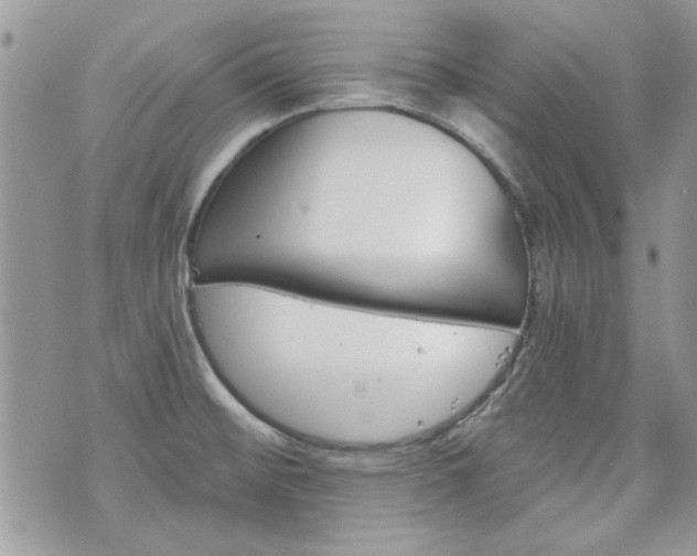 X0000070361476200606161239