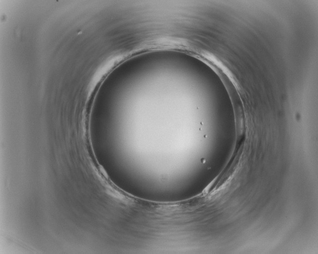 X0000070361477200606161239