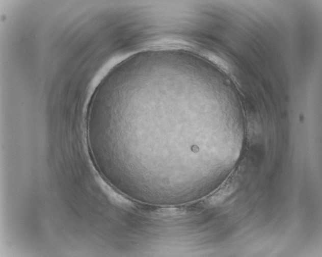 X0000070361478200606161239