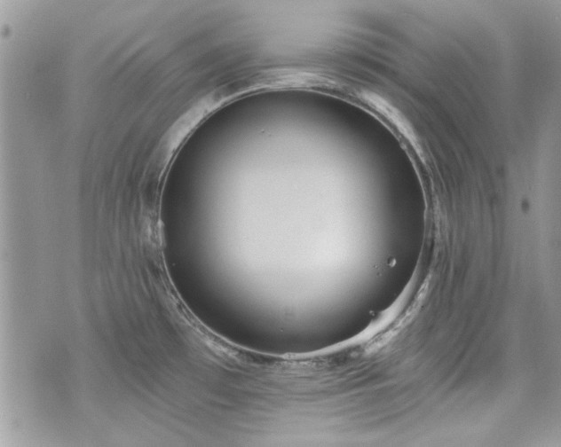 X0000070361481200606161239