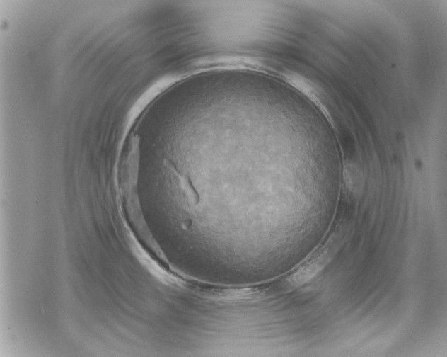 X0000070361482200606161239