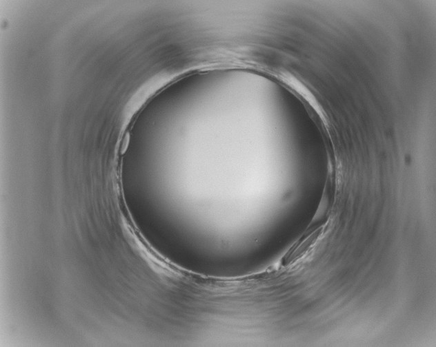 X0000070361485200606161239