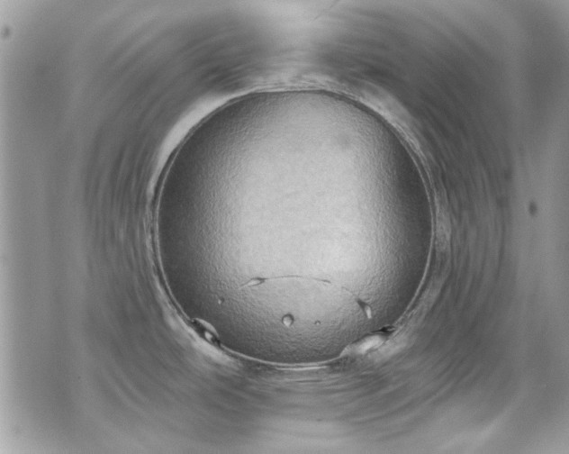 X0000070361486200606161239