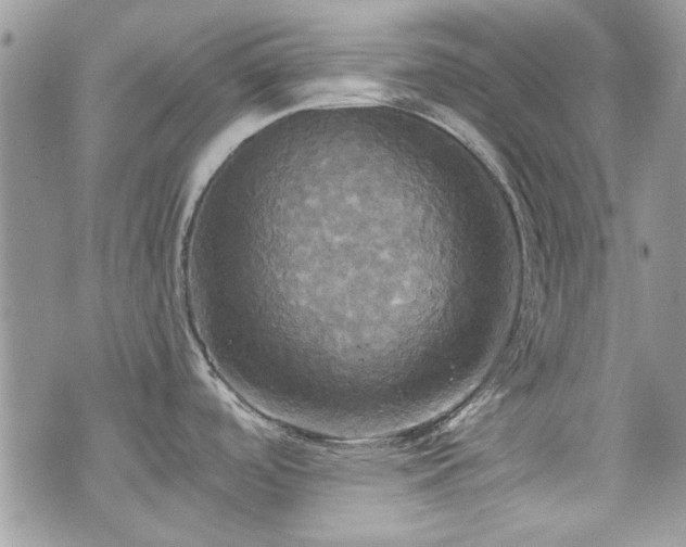 X0000070361488200606161239