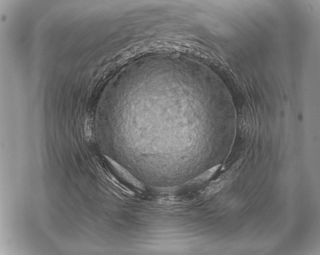 X0000070361490200606161238