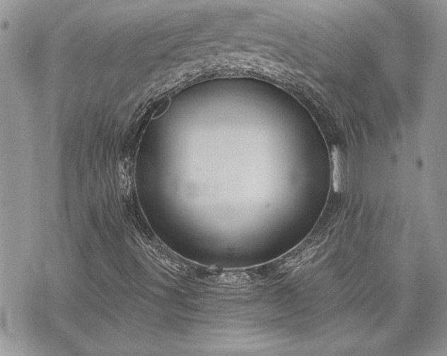 X0000070361491200606161238