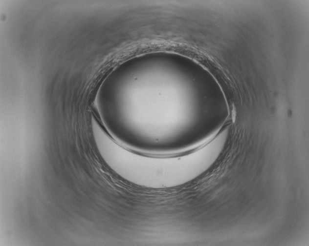 X0000070361492200606161238