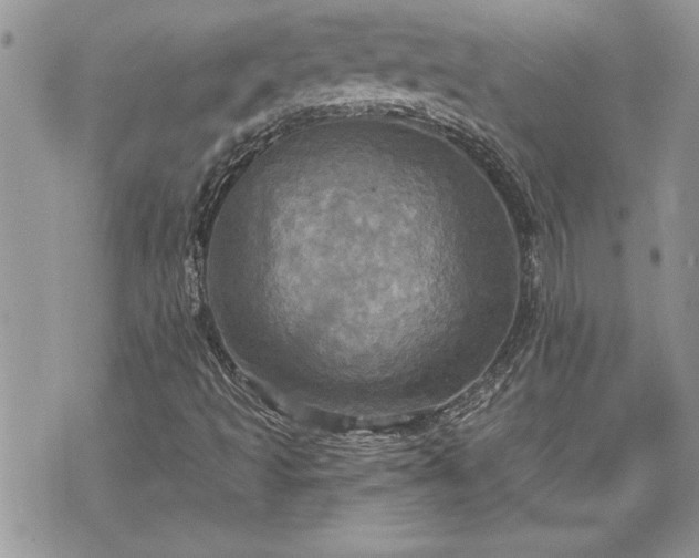 X0000070361493200606161238