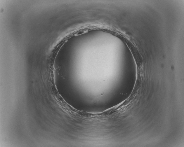 X0000070361496200606161238