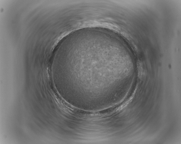 X0000070361497200606161238