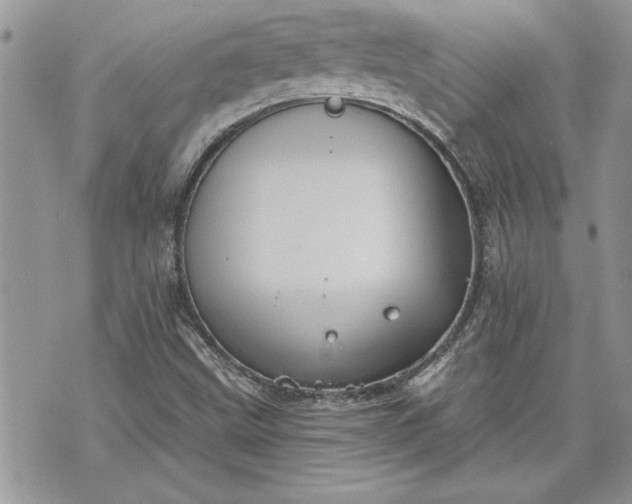 X0000070361499200606161238