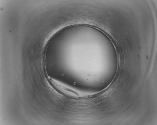 X0000070361500200606161238