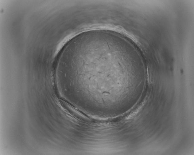 X0000070361501200606161238