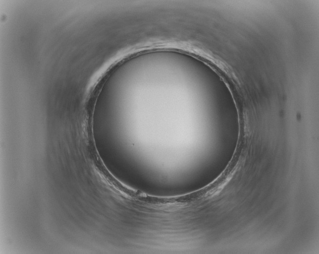 X0000070361502200606161238