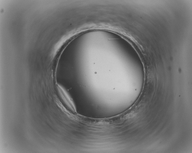 X0000070361503200606161238