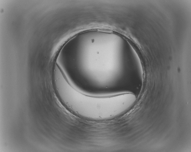 X0000070361504200606161238