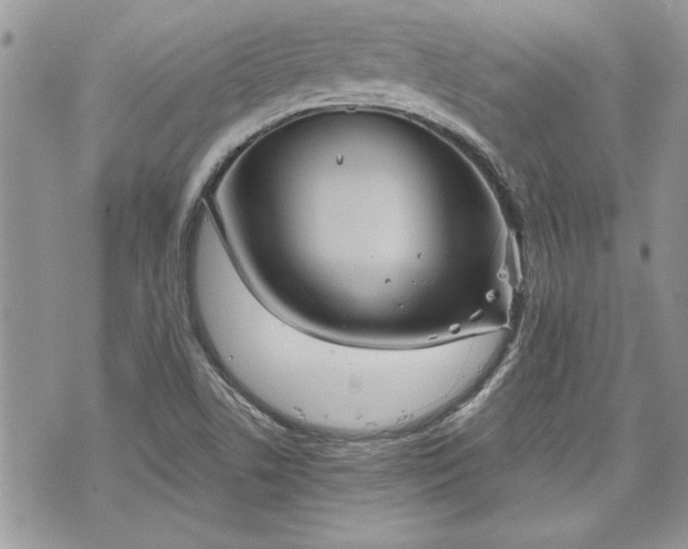 X0000070361506200606161238