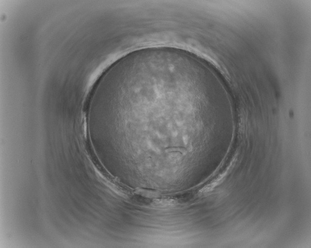 X0000070361509200606161238