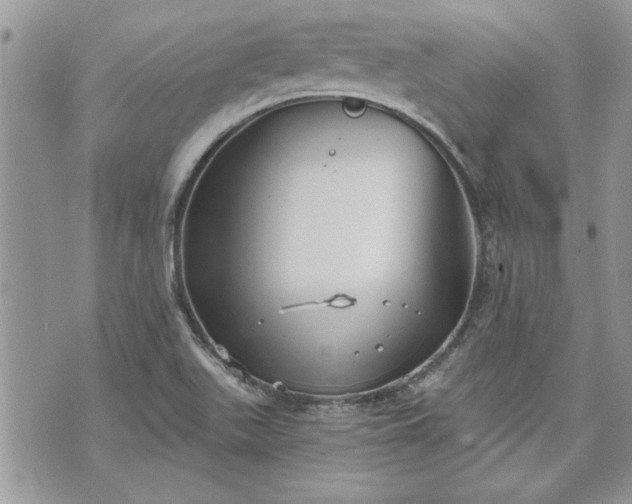 X0000070361511200606161238