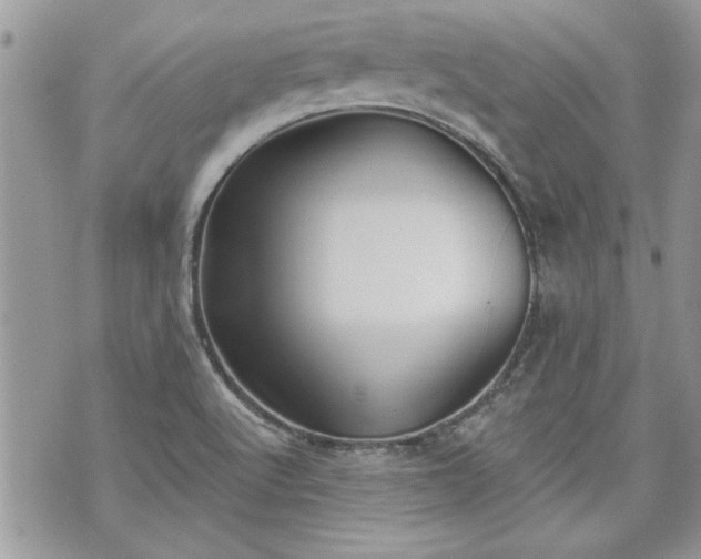 X0000070361512200606161238