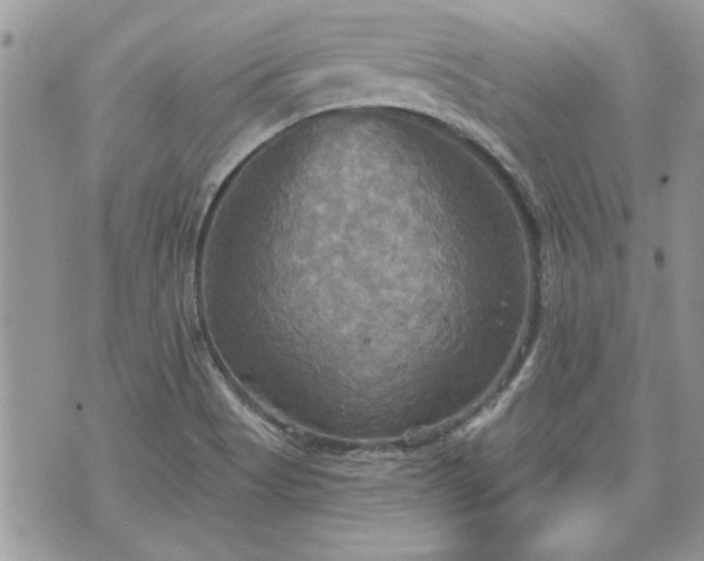 X0000070361513200606161238