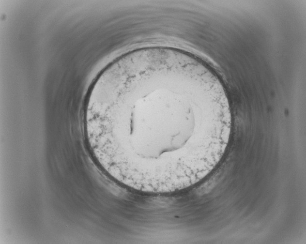 X0000070361514200606161238