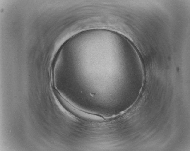 X0000070361515200606161238