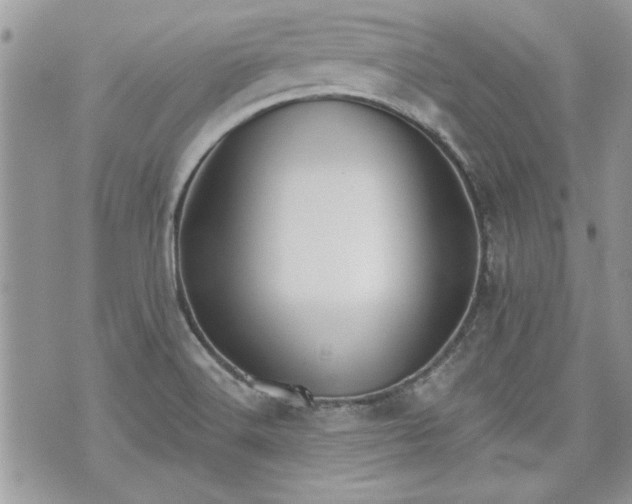 X0000070361516200606161238