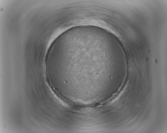 X0000070361517200606161238