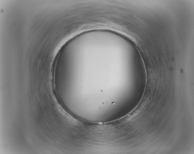 X0000070361518200606161238