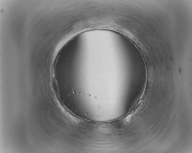 X0000070361520200606161238