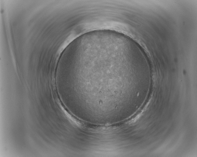 X0000070361521200606161238