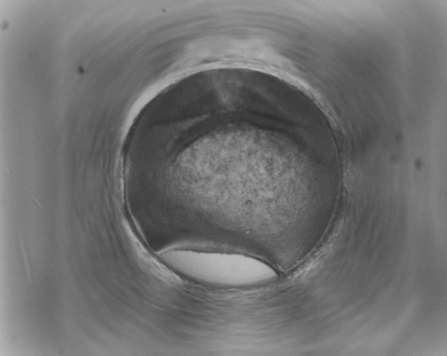 X0000070361522200606161238