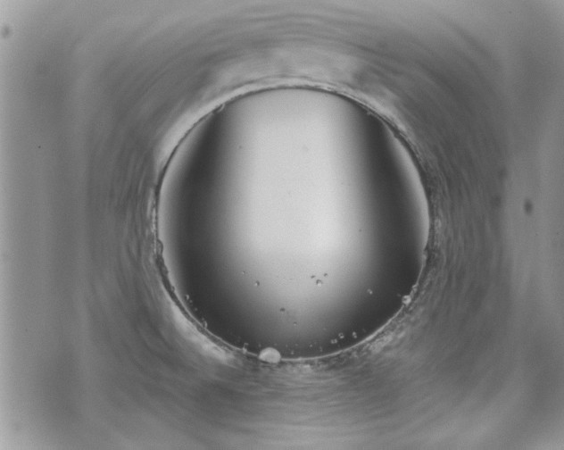 X0000070361524200606161238