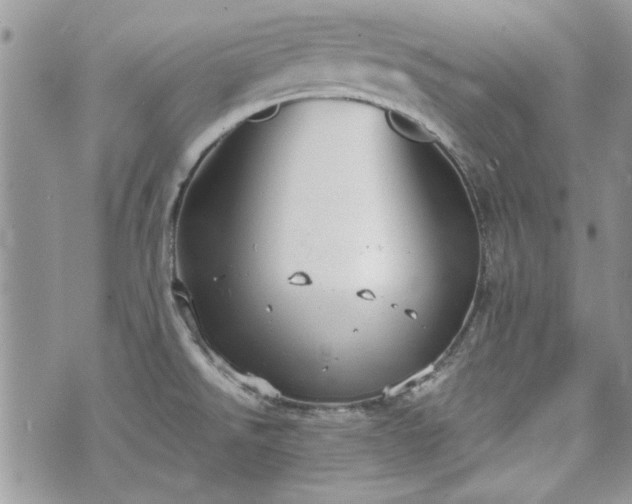 X0000070361526200606161238