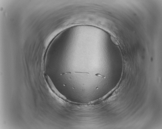 X0000070361527200606161238