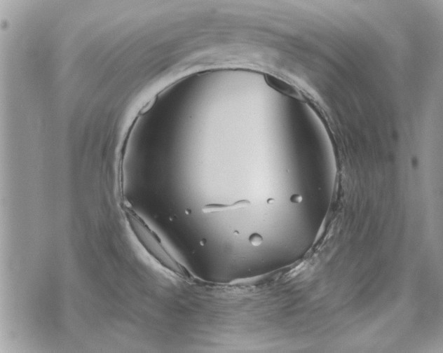 X0000070361528200606161238