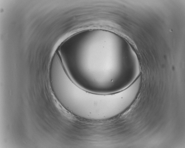 X0000070361530200606161238