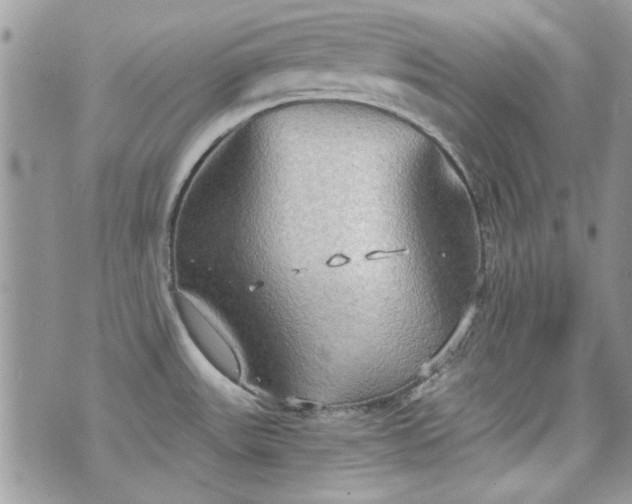 X0000070361531200606161239