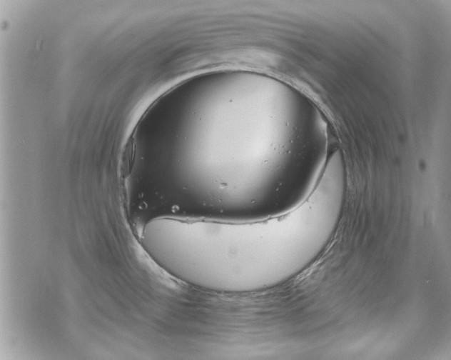 X0000070361532200606161239