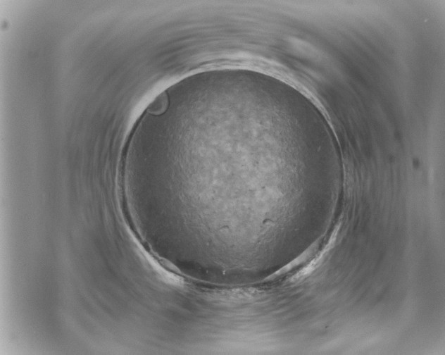 X0000070361533200606161239