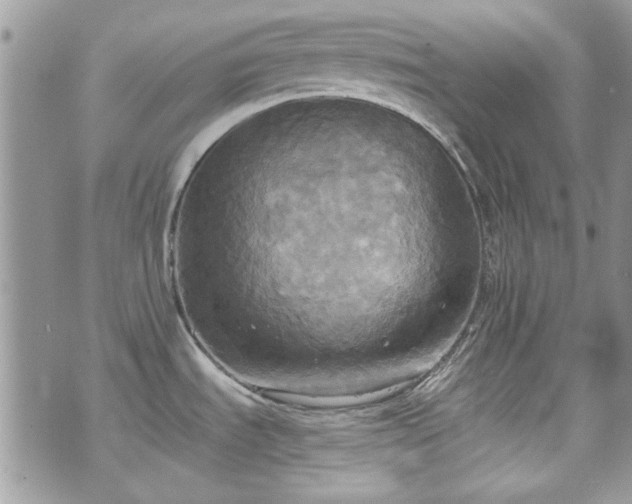 X0000070361535200606161239