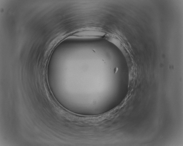 X0000070360001200606231634